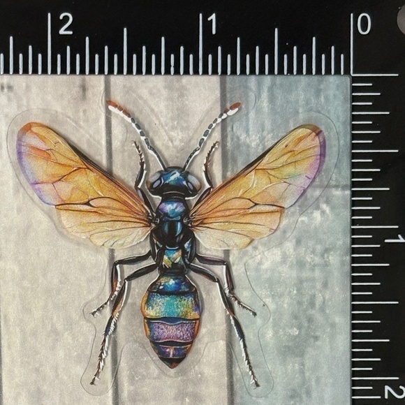 🌀10/$10🌀 Translucent Moth Dragonfly Beetle Reusable Waterproof Sticker Decal - Picture 1 of 1
